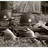 mg 719
